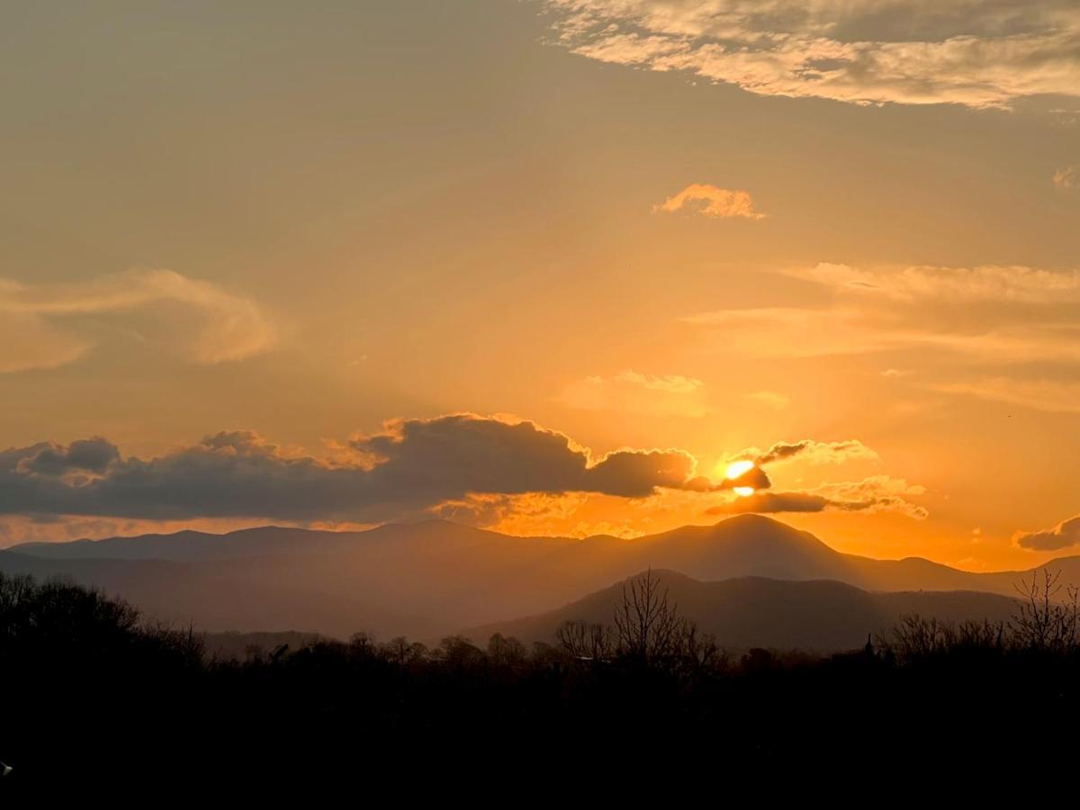 Skylaranna Resort & Spa Hendersonville Bagian luar foto